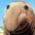 I_Am_A_Use_Nick