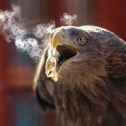 LICI - steam id 76561199805651837