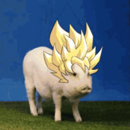 PigGoingSuperSaiyan - steam id 76561197966893358