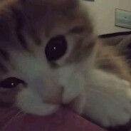 MrParamonovZxcLazer228