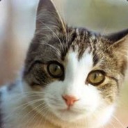 他妈的^_^ | Tradeit.GG avatar