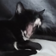 Cronus+strikepack=EZ