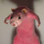 ratknee