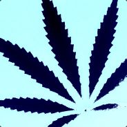 gaboN!(~_-)  cs.BHZD.ro