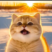 隔热板记录美好生活