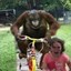 King Kong Wrong