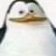 Autistic Kowalski
