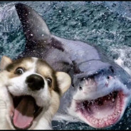 翻斗花园突破手胡英俊