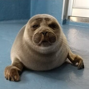 MoglySama