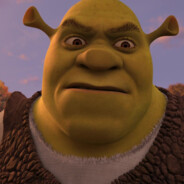 Shrek228