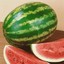 Suspicious Watermelon
