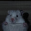 贰