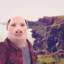 John Pork