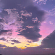 她说会永远爱我