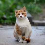 这个渣男不太渣呢