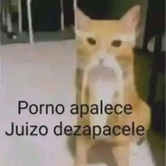 Gato Sábio Chinês - steam id 76561197961014627