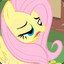 Fluttershy :3