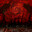 Zackari, x