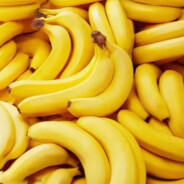 BANANANANANANANANANANANANANANANA