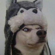 超级无敌小荡荡