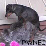 C0BR4 - steam id 76561197966742564