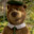 Yogibear avatar
