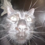 『红人馆』ヾIce'Lynn