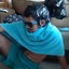 X1 lixo
