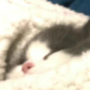 康斯坦汀预备役