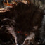 Penther
