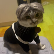 罗密欧与朱乱来