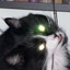 Tibbs