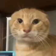 凑凑的地方换香香的钱