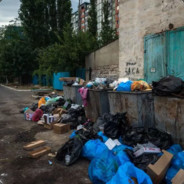 пнул медведя—медведь тебя задрал