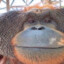sss