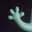 lizzard hand