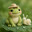 mr.frog