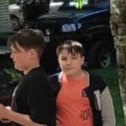 Директор додо