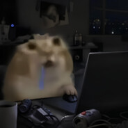 Ninja
