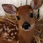 ♥ Deergirl Gaming ♥