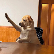 LabrAdolf