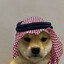 jr