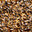 Ten-Thousand Bees