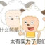 太有实力了哥们