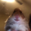 Julian