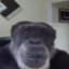 ツ Etch Lord ツ
