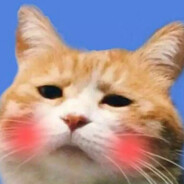 狠狠侵破你的甲