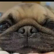 темный принц