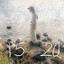 яубилв2012:)'s avatar