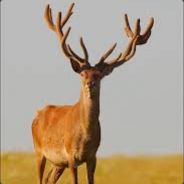 podVodnik CZEK's avatar